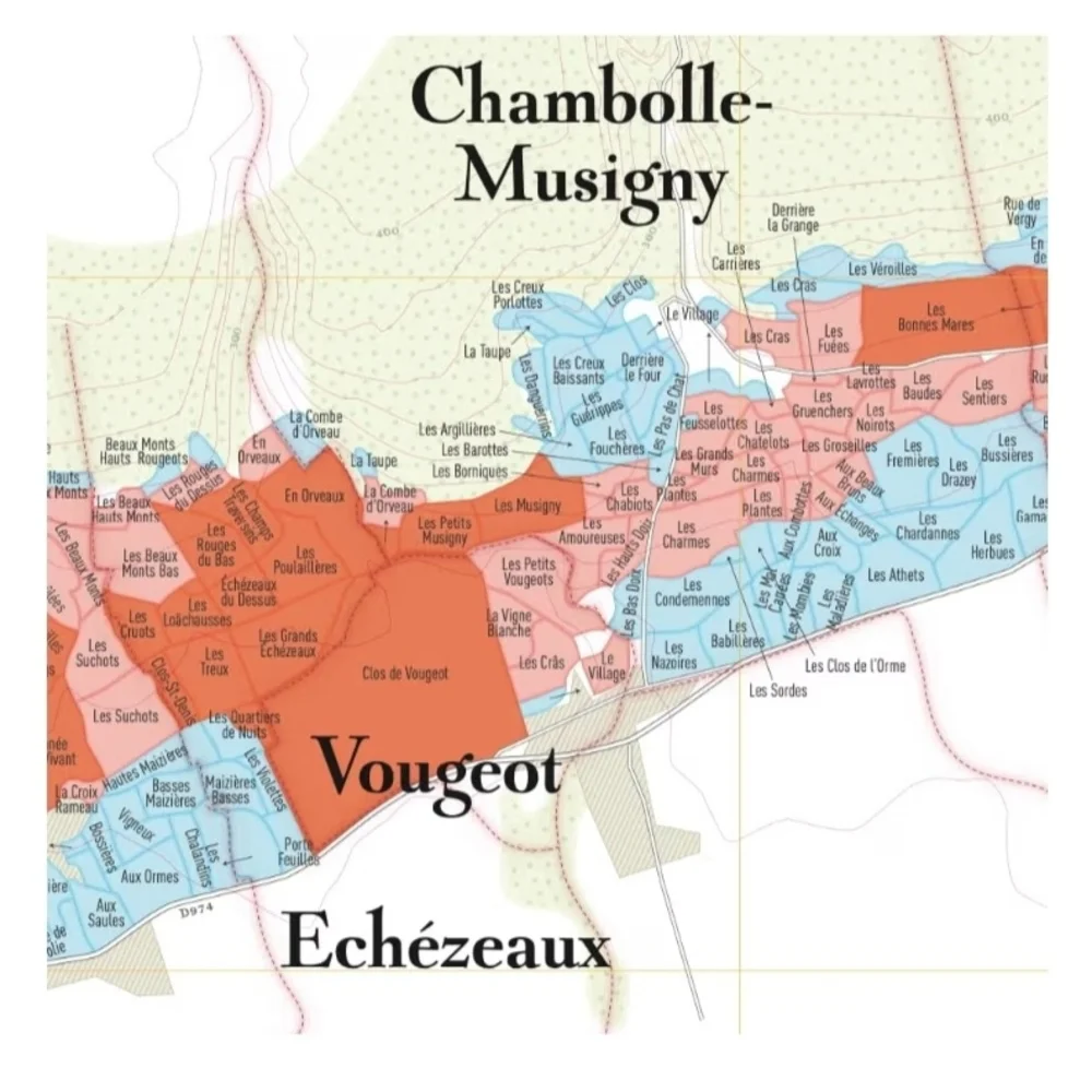 NIB. Maps Of Climats De Bourgogne - France Wine Region Wall Art - Without Frame